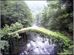 Sdc10800.jpg
