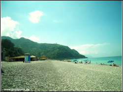 Sdc11425.jpg