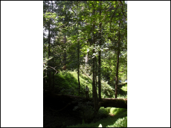 Sdc14883.jpg