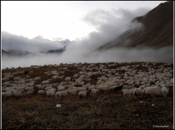 01-Tusheti-Dreharbeiten.jpg