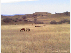 Waschlowani Nationalpark