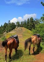 Borjomi_Georgien